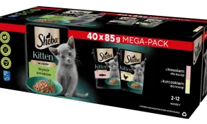 Opakowanie karmy Sheba Kitten z kotkiem, które sugeruje, czy sheba to dobra karma dla małych kotów. Zawiera wybór smaków z łososiem i kurczakiem.