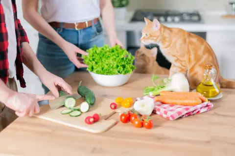 Pomarańczowy kot obserwuje, jakie warzywa może jeść kot: ogórki, marchewki, pomidorki, sałatę.